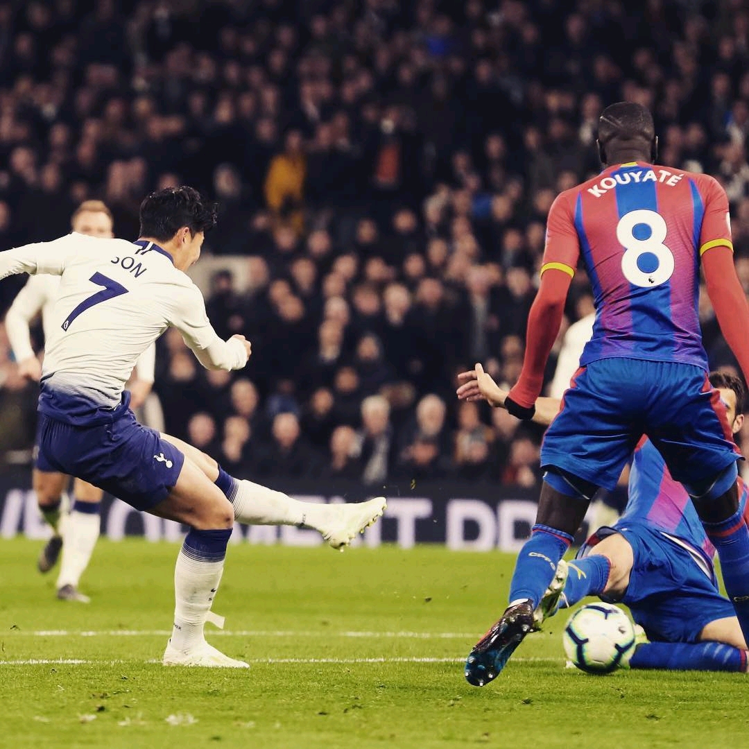 人不仅是一 人不仅是一